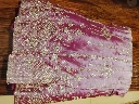 No.2(4) RK 1051'.webp