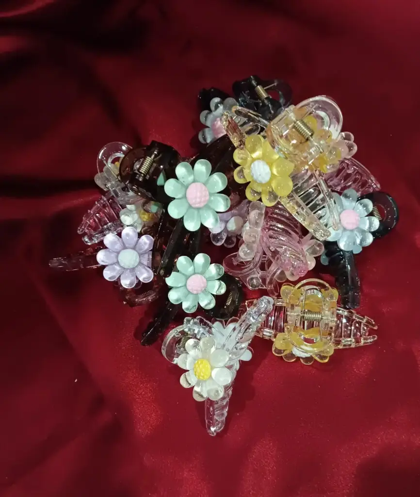 WH291 - 0000573 -Hair Clip Type 4