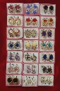 WH39-0000321 - Earrings-Stud