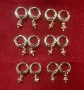 WH176-0000458-Earrings - Type1