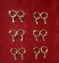 WH176-0000458 -Earrings - Type2