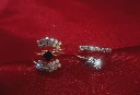 WH214-0000496 - Ring