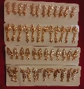 WH88-0000370 - Gold Plated Earrings