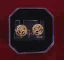 WH15-0000197 - Gold plated Earings
