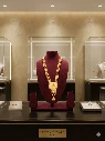 PJ585-Gold Plated Matt Sari Mala